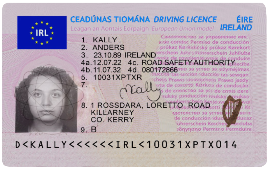 ireland drivers license