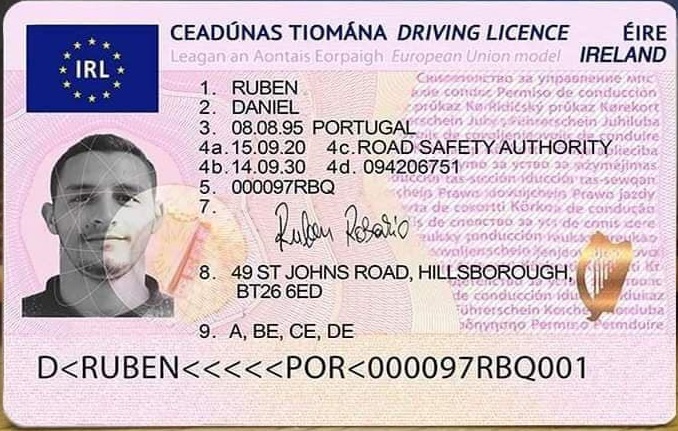 Irish driving licence