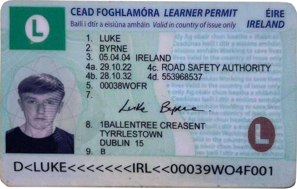 irish driving license